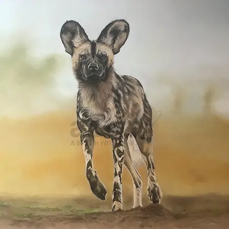 Wild Dogs & Hyenas