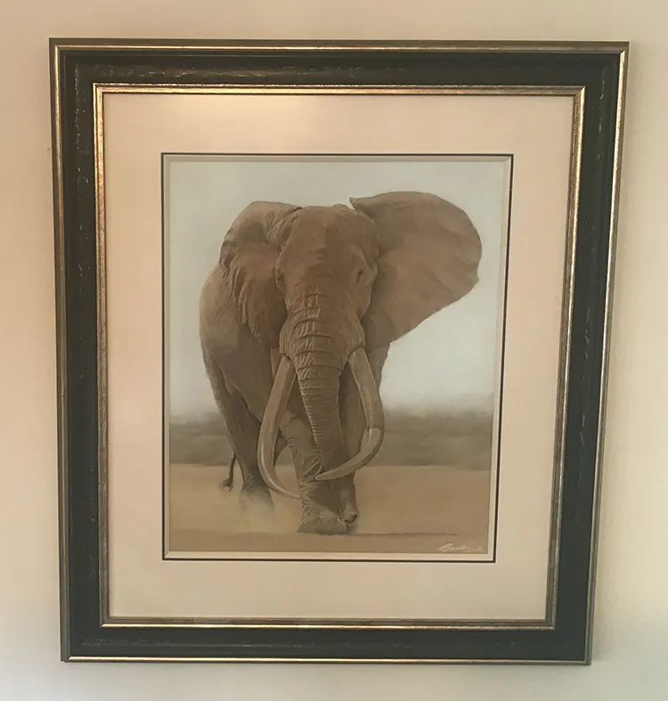 Now framed, mounted and on display at the Studio/Gallery Frame size 30 X 34 inches