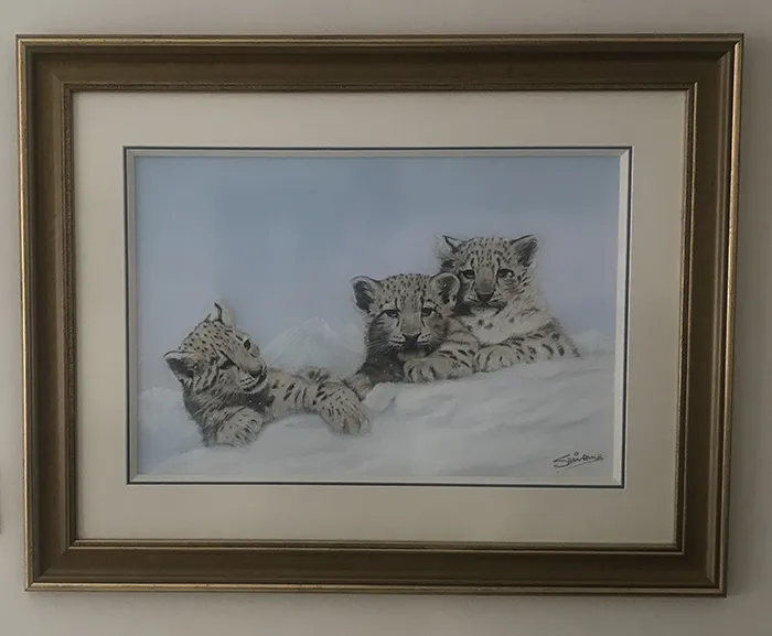 Beautifully framed by Framers Gallery  Framed size in inches 35 X 28