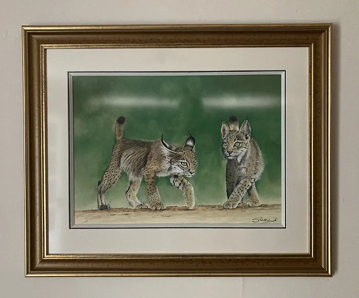 Beautifully framed at Framers Gallery Frame size in inches 35 x 29