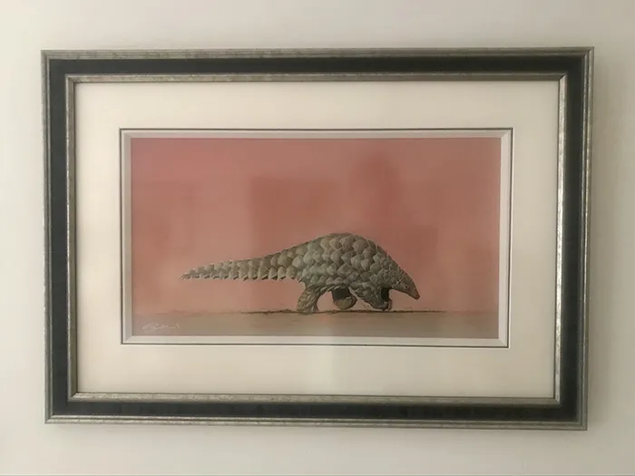 Beautifully framed by Framers Gallery 