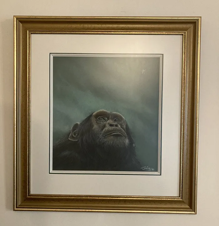 Beautifully framed by Framers Gallery Size 28 X 29.5 in