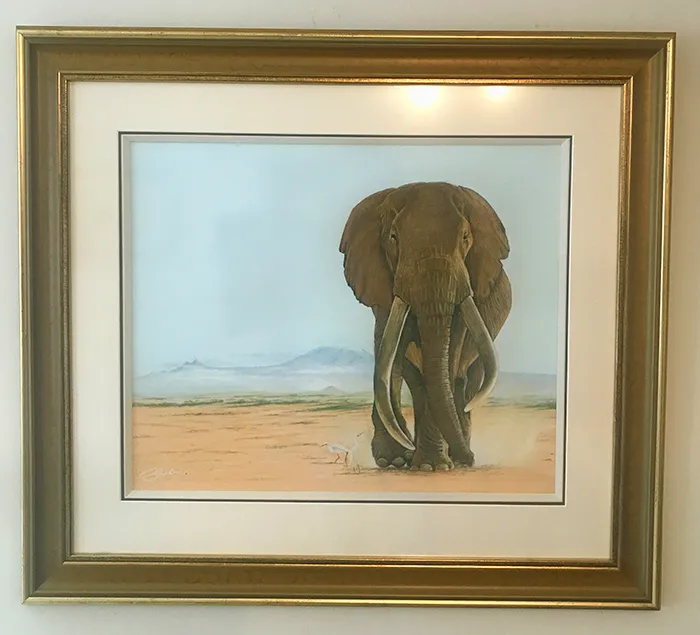 Beautifully framed by Framers Gallery  Size 33.5 X 30in