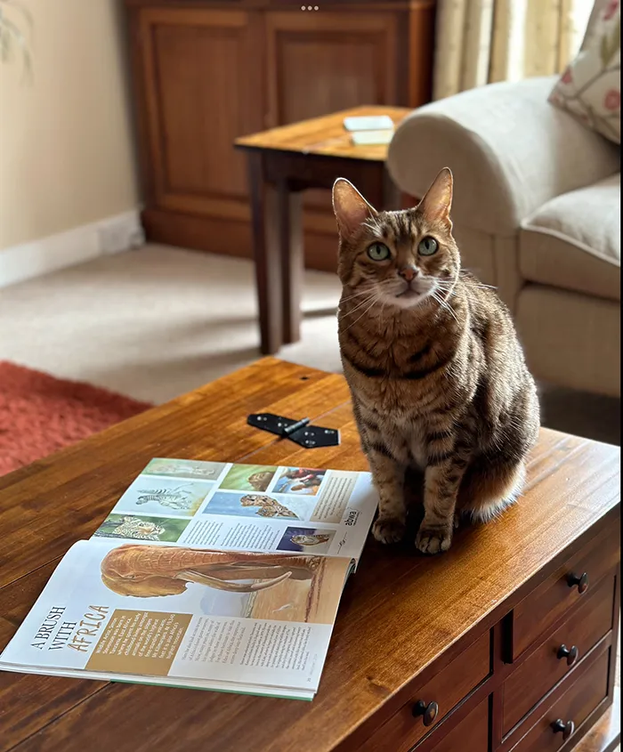 Mischa our resident proof reader