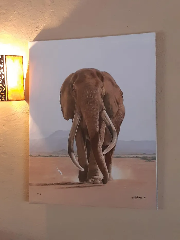 Craig's Companion as a canvas in reception