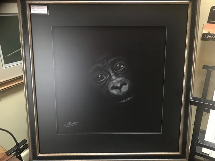 Mounted, Framed and on display on the Studio / gallery Frame size 28in x 28in