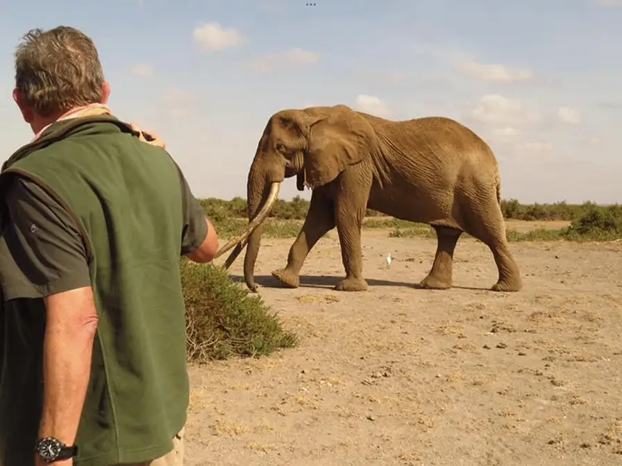 2023 - Simon walking alongside the gentle super tusker Craig in Amboseli, Kenya